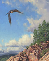 Dans le ciel du Saguenay, faucon pèlerin en vol, ciel d'été