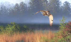 Short-eared owl and morning mist, oil painting of short-eared owl flying over field on misty morning
