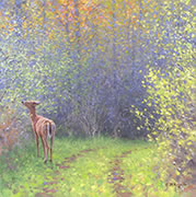 Springtime Doe, wildlife oil painting of white-tailed deer in spring woods, rural setting, spring colors