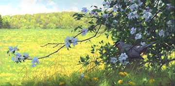 peinture moqueur chat, pommier en fleurs, champs d'été, floraison estivale