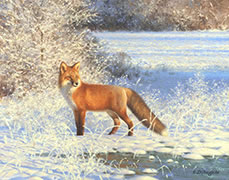 Oil painting, fox in fresh snow, winter, field of snow