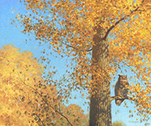 Great Horned Owl, Oil painting, in Aspen tree in autumn woods