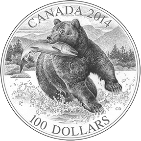 Grizzly Coin Sketch