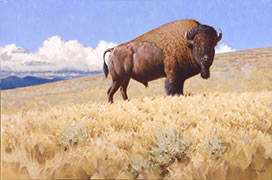 Icône, prairie de l'ouest, bison des pleines