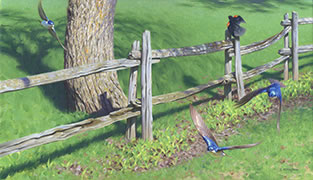 Primavera, oil painting, swallows and red-wing blackbird in spring, split-rail fence