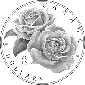 Queen Elizabeth Rose Coin Sketch