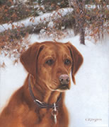 Reggie, oil painting of labrador retriever dog in winter