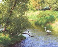 Southern Visitor, oil painting of egret, heron, white bird on river