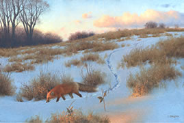 renard roux, Peinture à l'huile, champ d'hiver