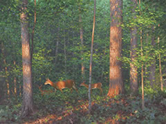 The Magic Hour, Oil painting, deer and fawn in sun-dappled forest