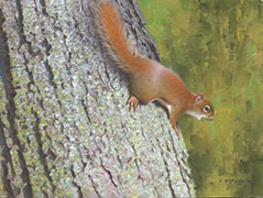 ree-Hugging Protester, peinture, huile sur toile, écureuil roux sur arbre,équreuil, forêt