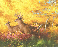 White flags oil painting,  White-tailed deer jumping ,fall forest